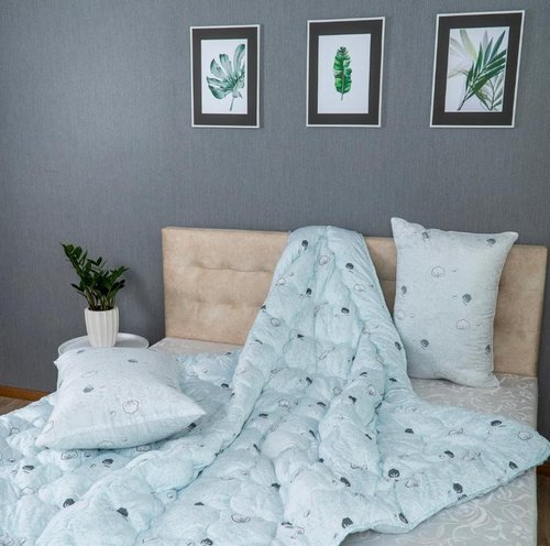 Комплект ЭКО - 2 подушки (50х70) + одеяло (175х205)