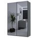 Шафа-купе Doros G-Caiser Білий 2 Дзеркала / 3 частини 160х60х240 (42002102)